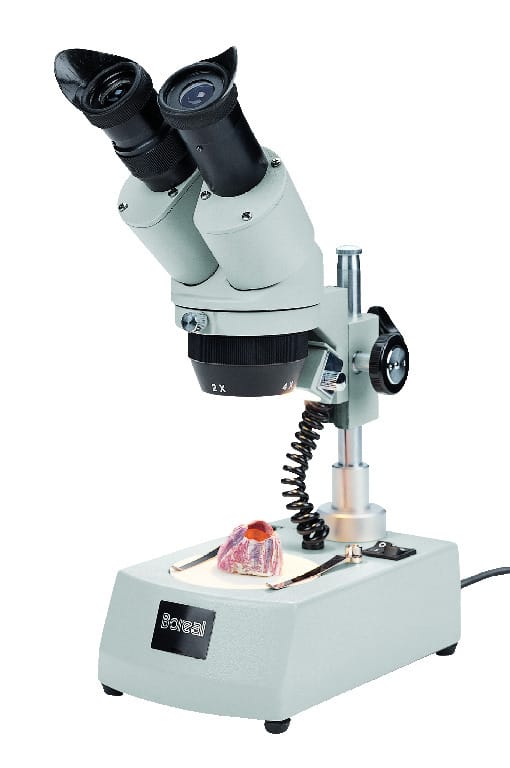 Boreal Science Student Stereomicroscopes