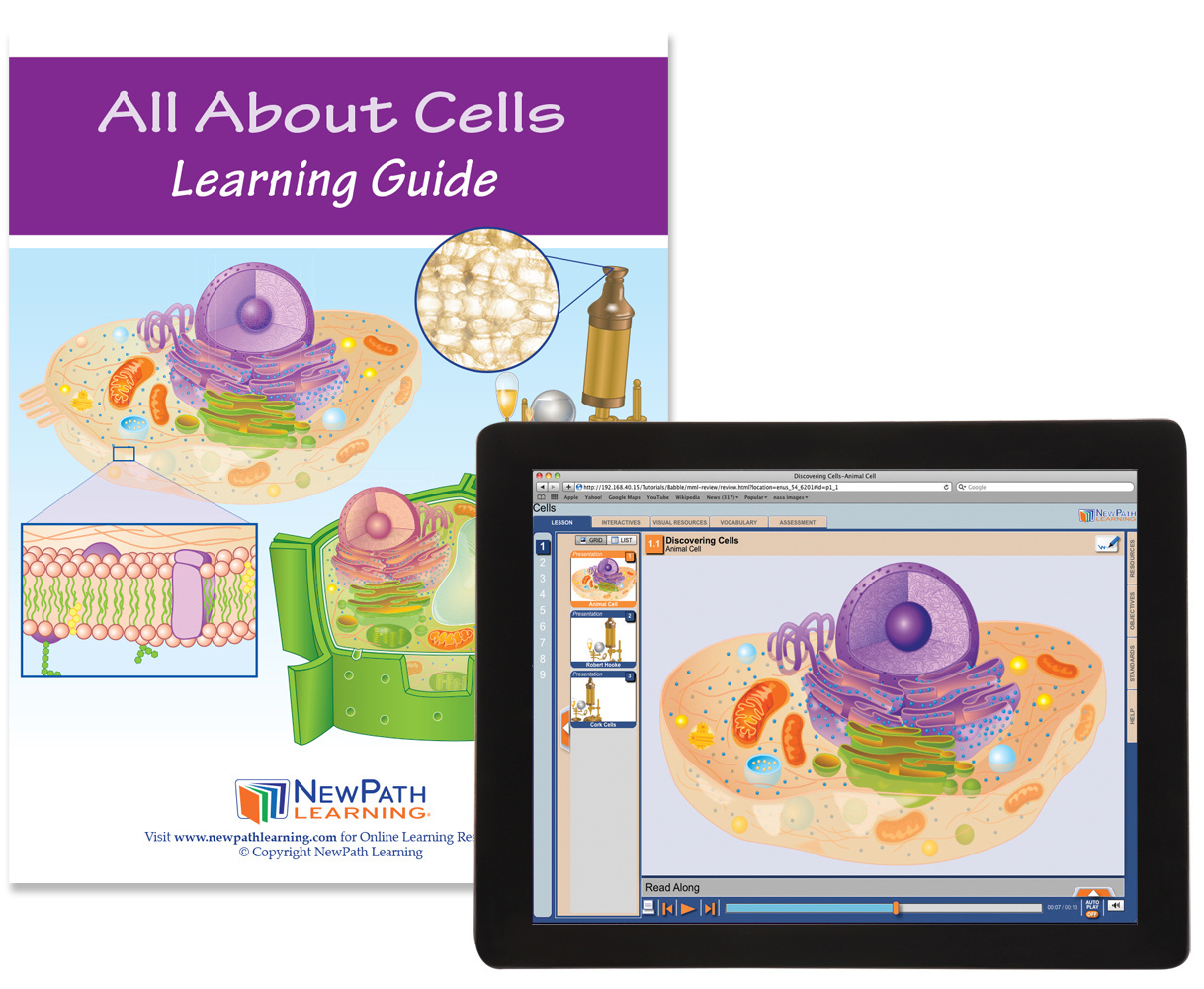 NewPath® Study Guides with Online Lesson