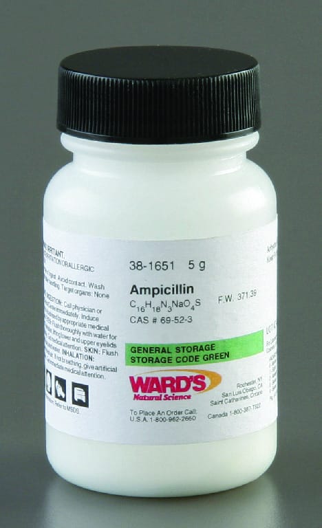 Ampicillin