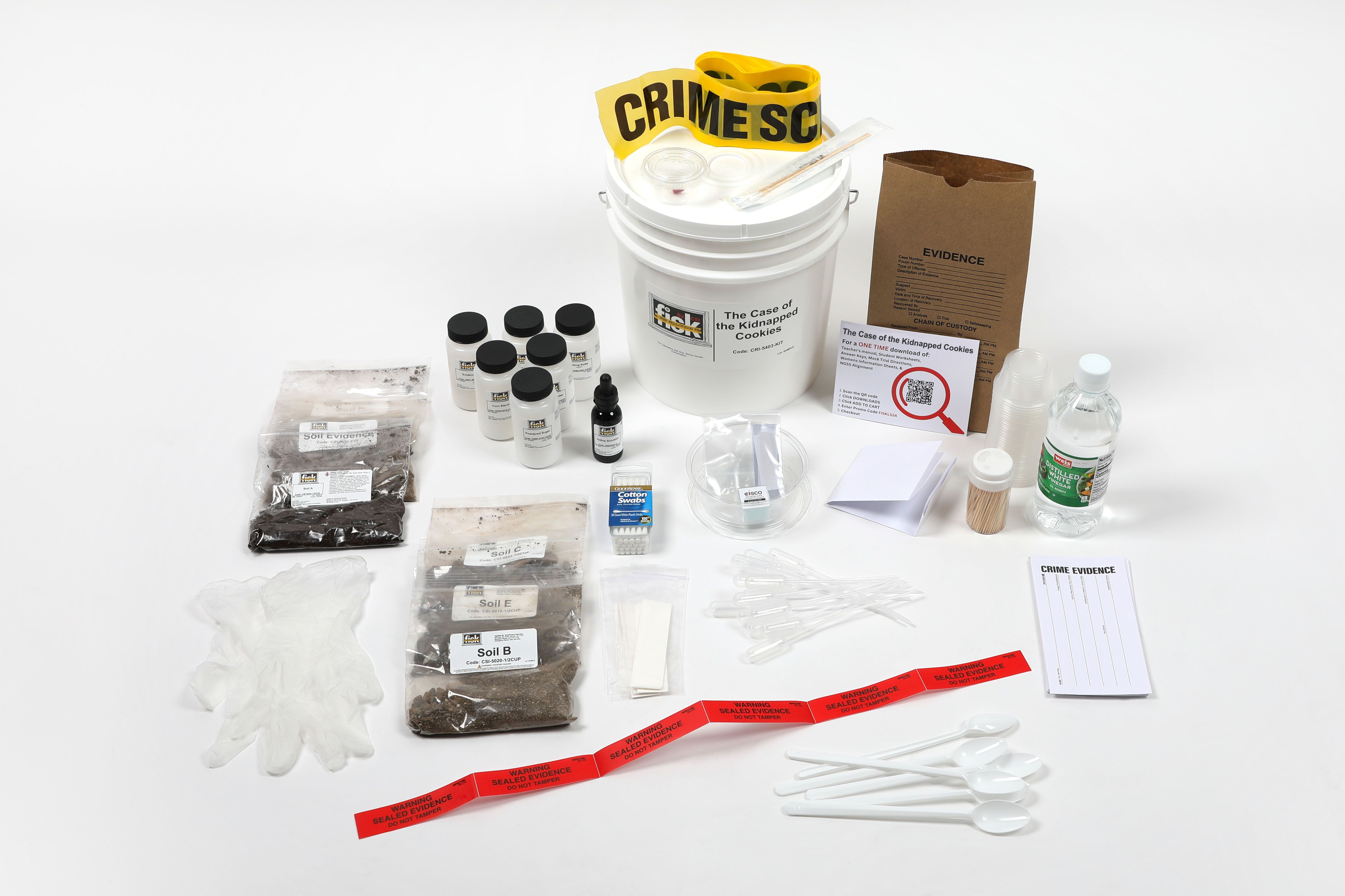 CSI/FISK The Case of the Kidnapped Cookies