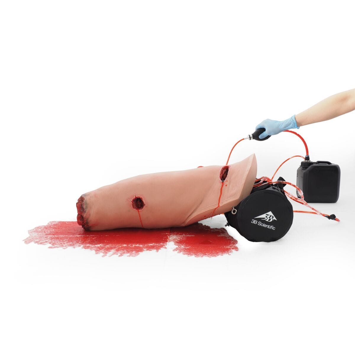 3B Scientific® Hemorrhage Control Leg Trainer