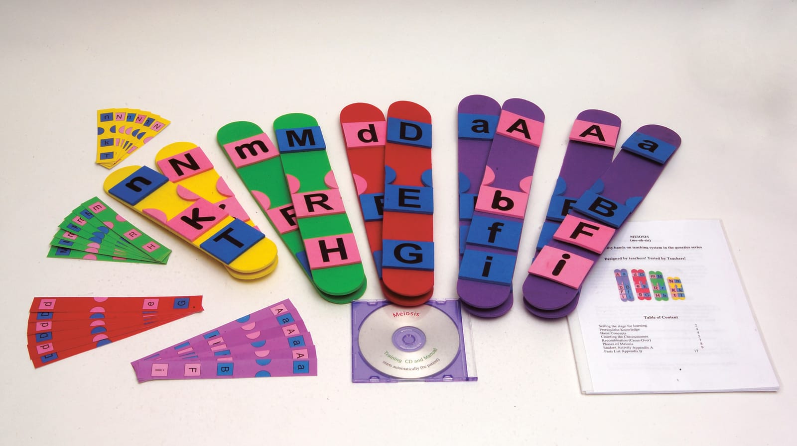 Meiosis Manipulative Kit