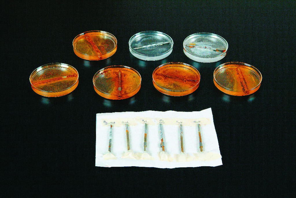 Rust and Corrosion Kit