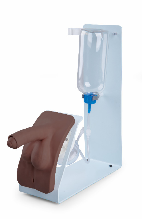 3B Scientific® Catheterization Trainers