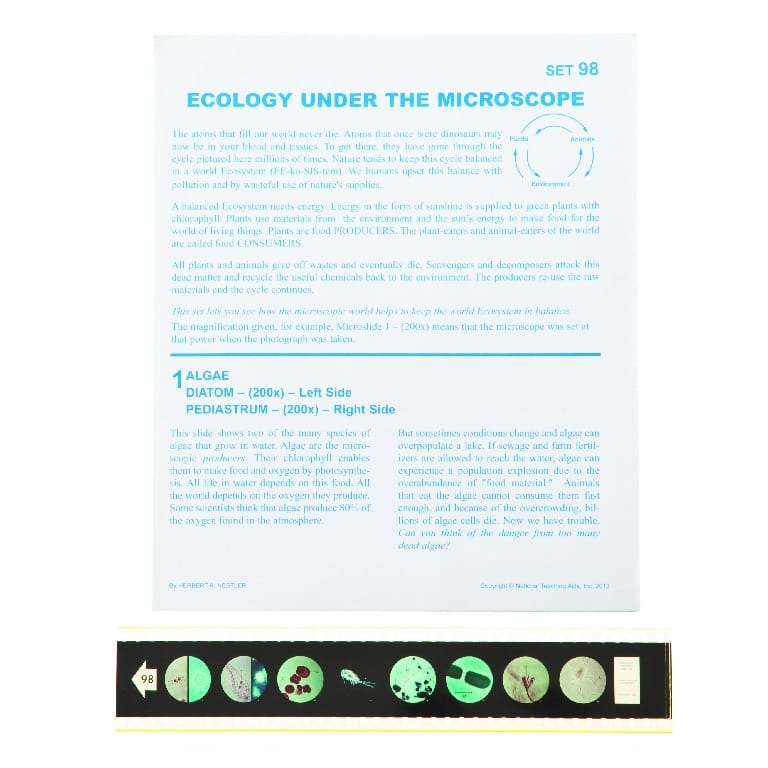 Ecology Under the Microscope Microslide