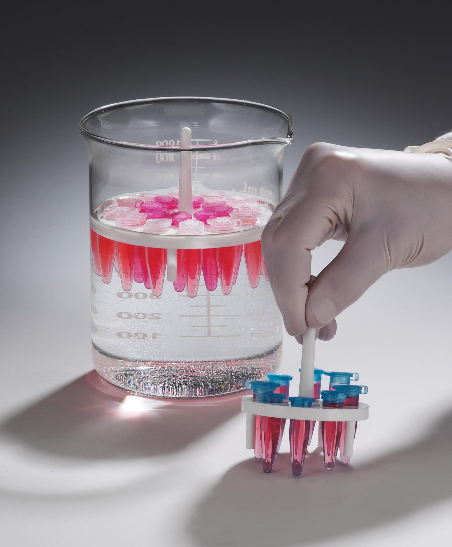 SP Bel-Art Round Microcentrifuge Floating Racks, Bel-Art, Bel-Art Products, a part of SP