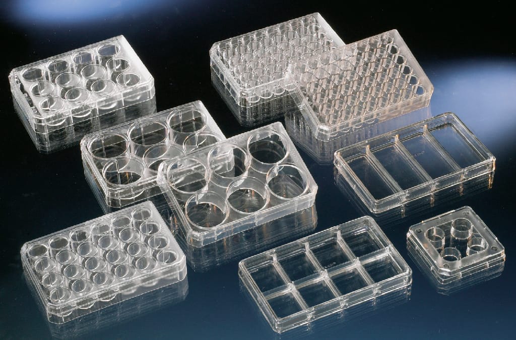 nunc immobilizer glutathione plates Cell culture plates, Nunc™ Multidish Nunclon Delta cell culture GNC L-Glutathione 50mg Capsule potentes propiedades antivirales Size: 8g x 15 Sachets:30s