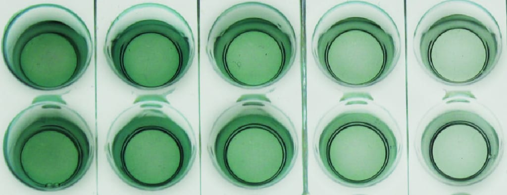 Qualitative ELISA Kit