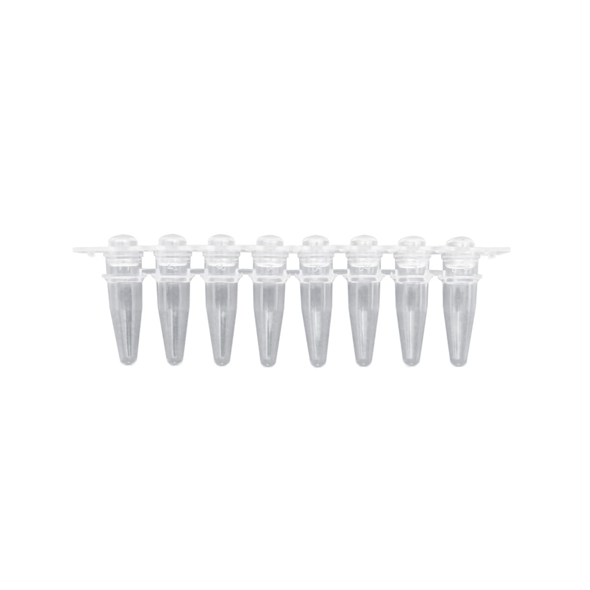 Ward's® PCR Tubes