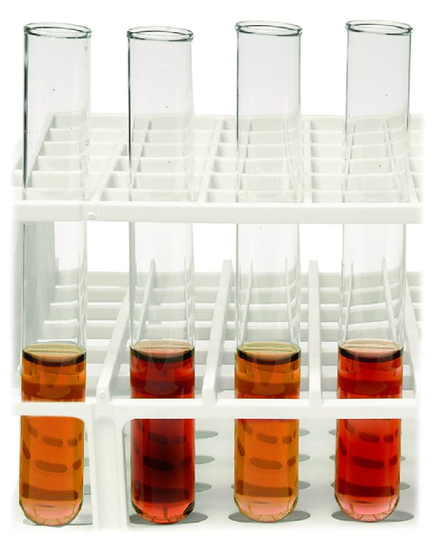 Forensic Enzymology Lab Activity