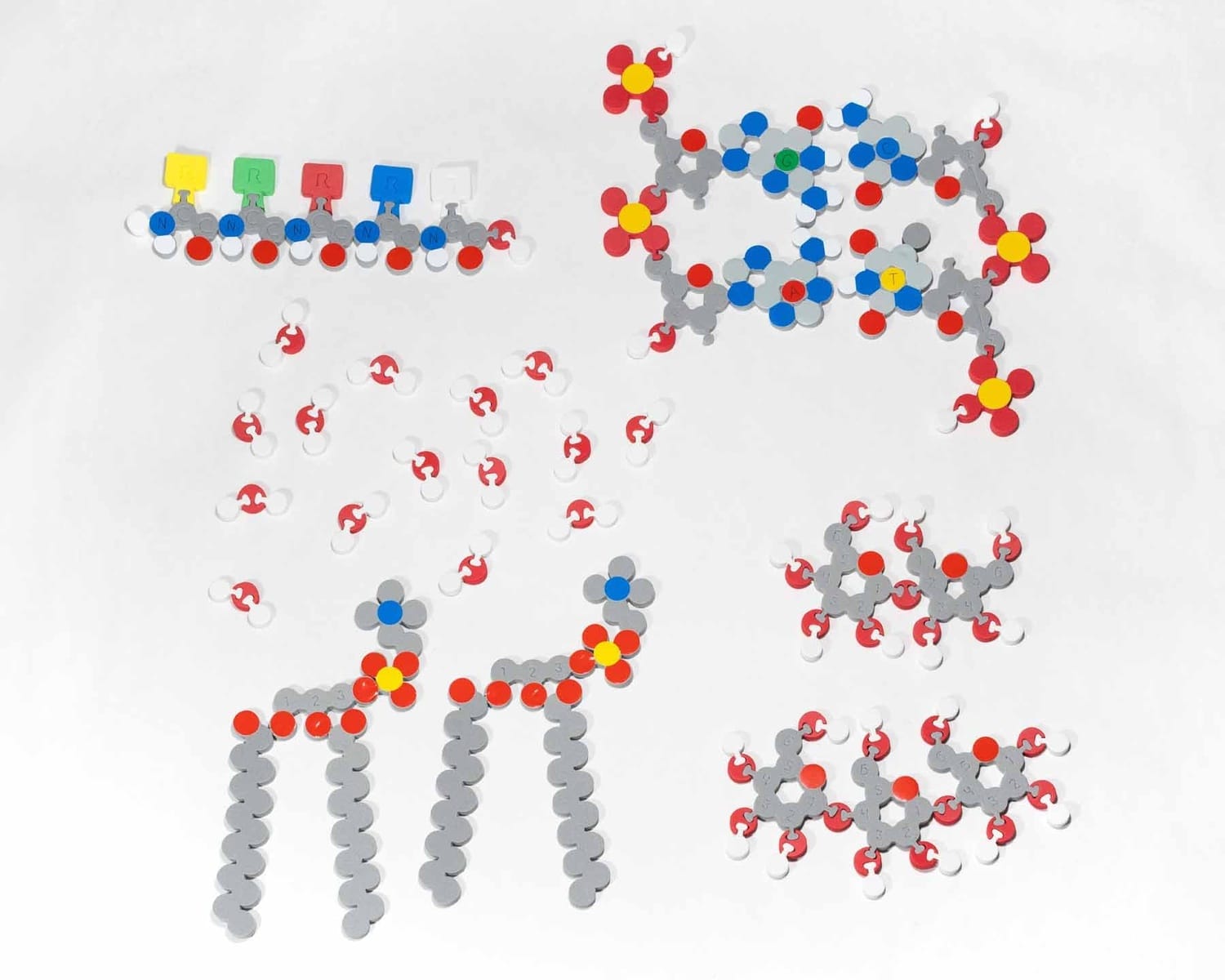 Molecules Of Life Modeling Kit©