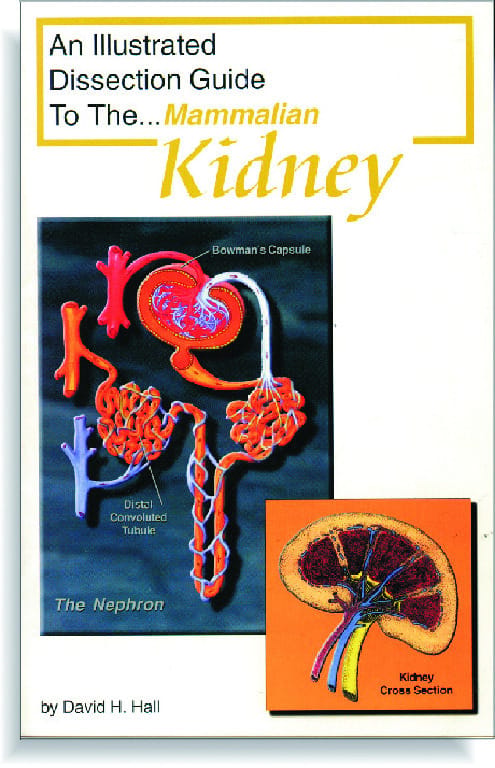 Illustrated Dissection Guides