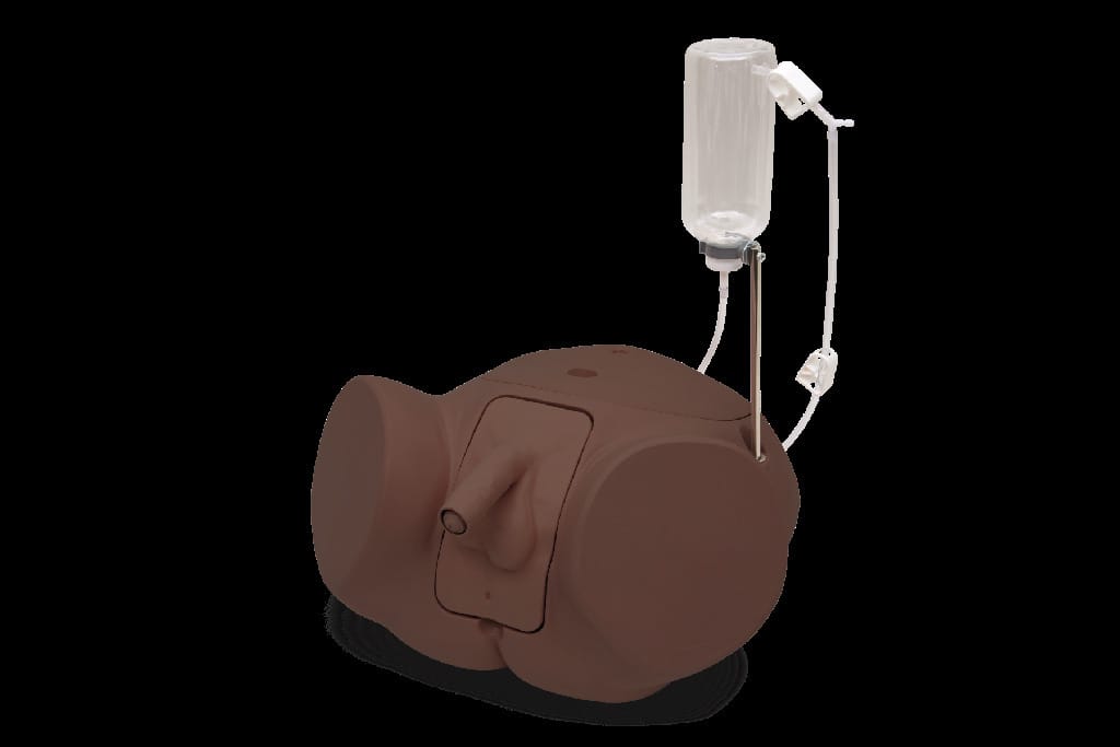 3B Scientific® Catheterization Trainers