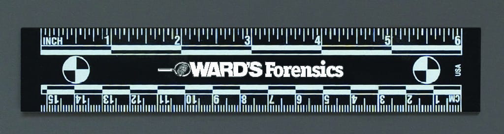 Ward's® 6" Photo Rules