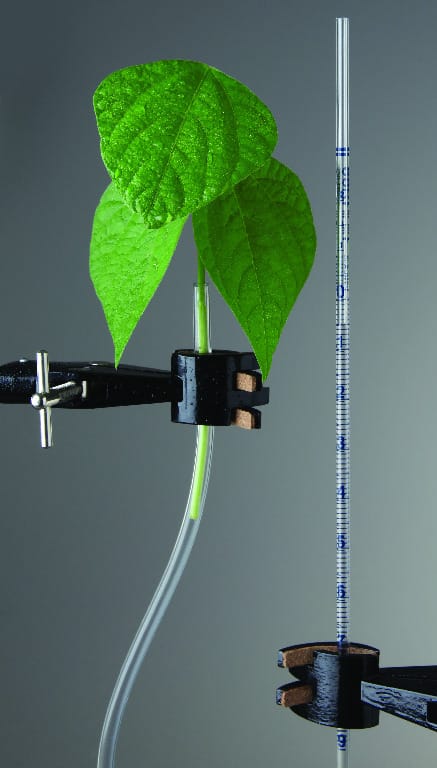 Ward's® AP Biology Investigation 11: Interactions: Transpiration