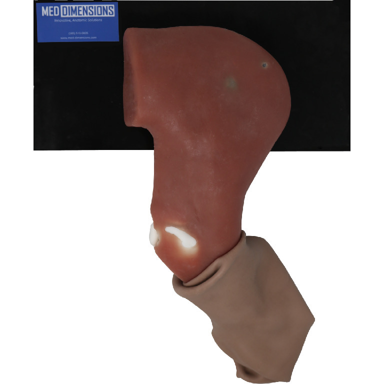Med Dimensions® Canine Joint Injection Trainer