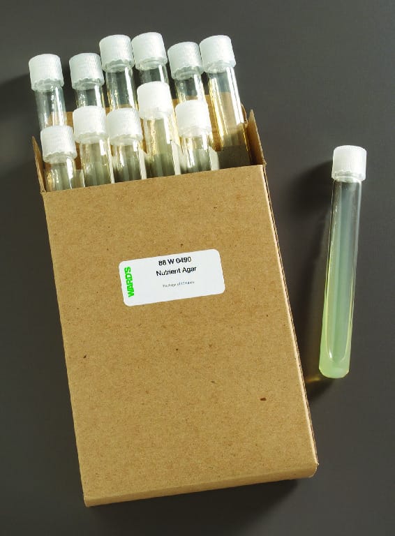 Prepared Nutrient Agar