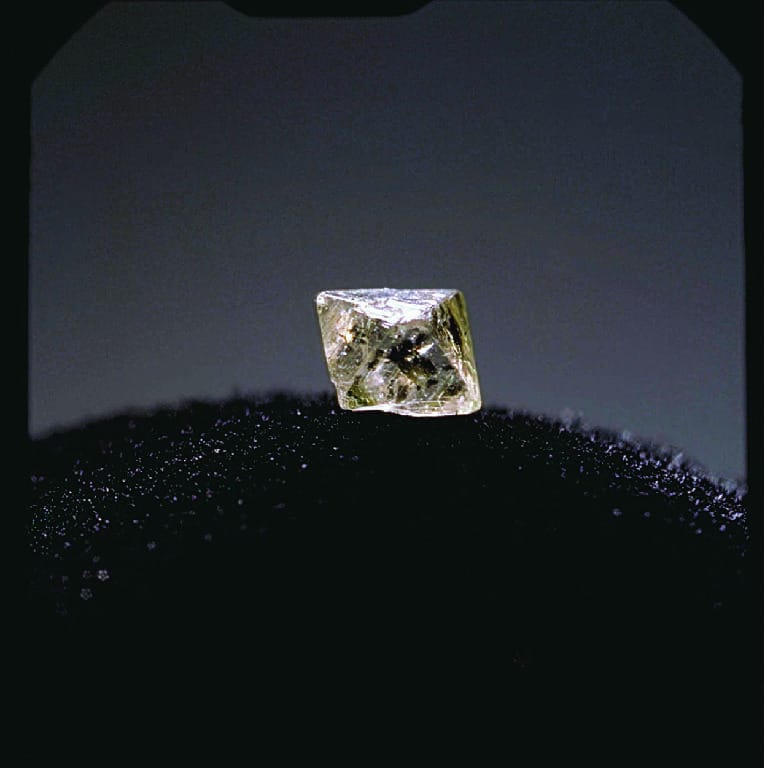 Ward's® Diamond