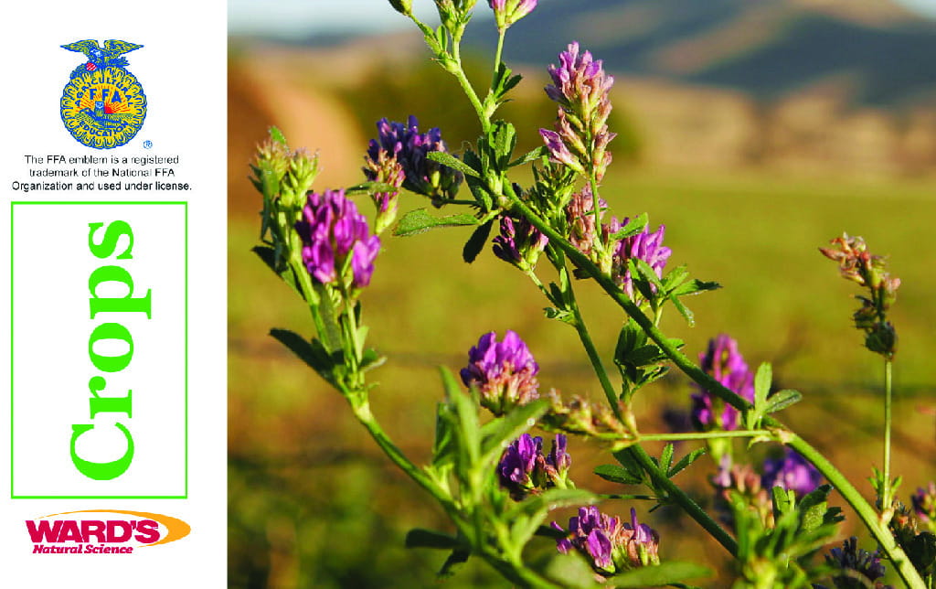 Ward's® Agricultural Science Flash Cards