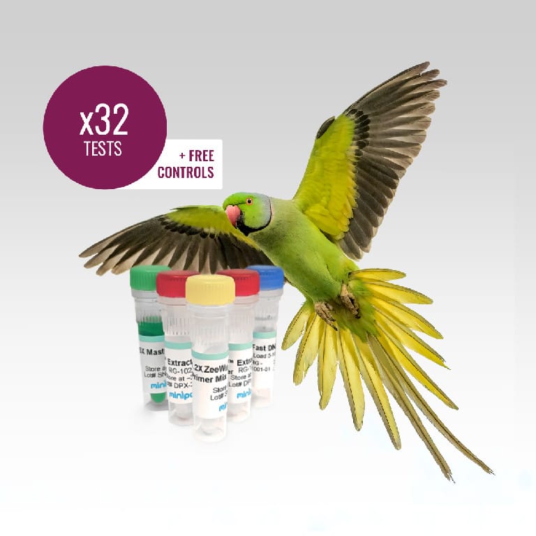 miniPCR® ZeeWee™ II Bird DNA Sex Test