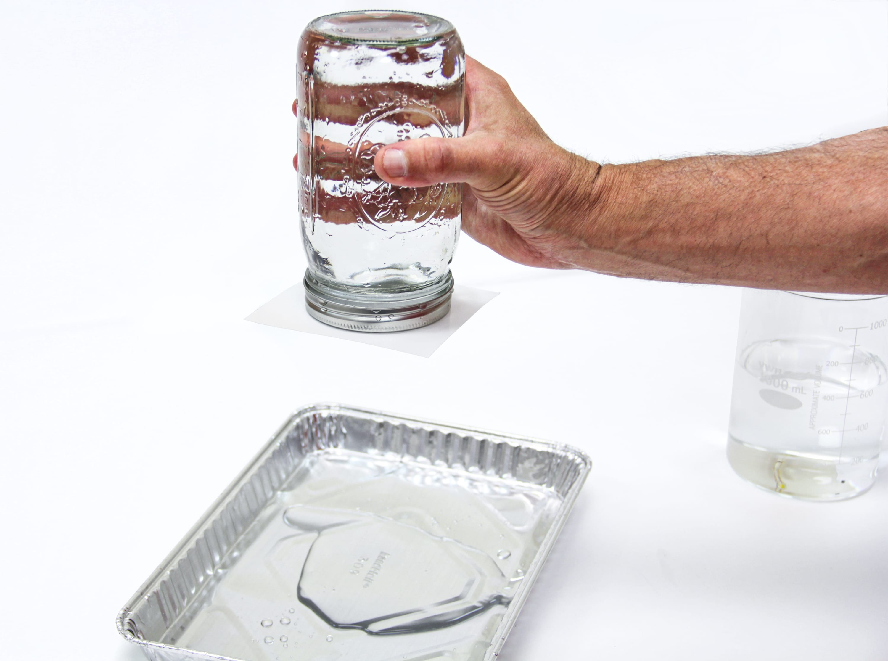 Ward's® Phenomena: Defying Gravity Lab Activity