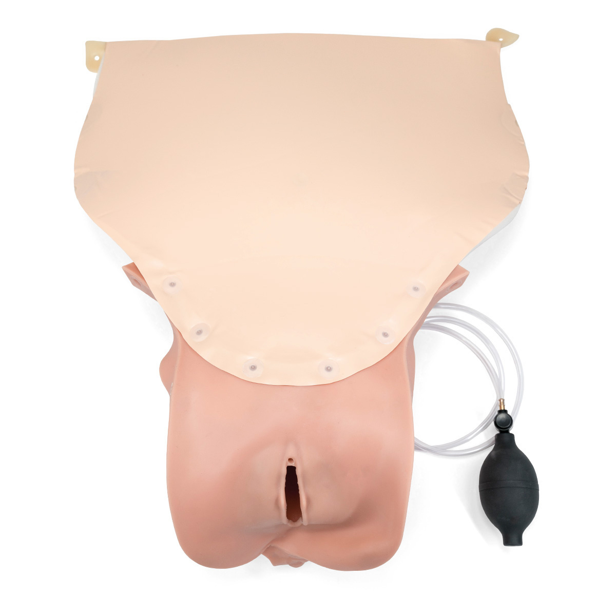 3B Scientific® Birthing Simulators