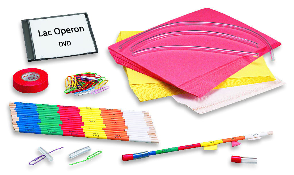 Ward's® Lac Operon: Turning On Your Genes Activity Lab Activity