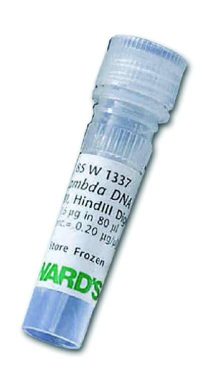 Lambda Markers