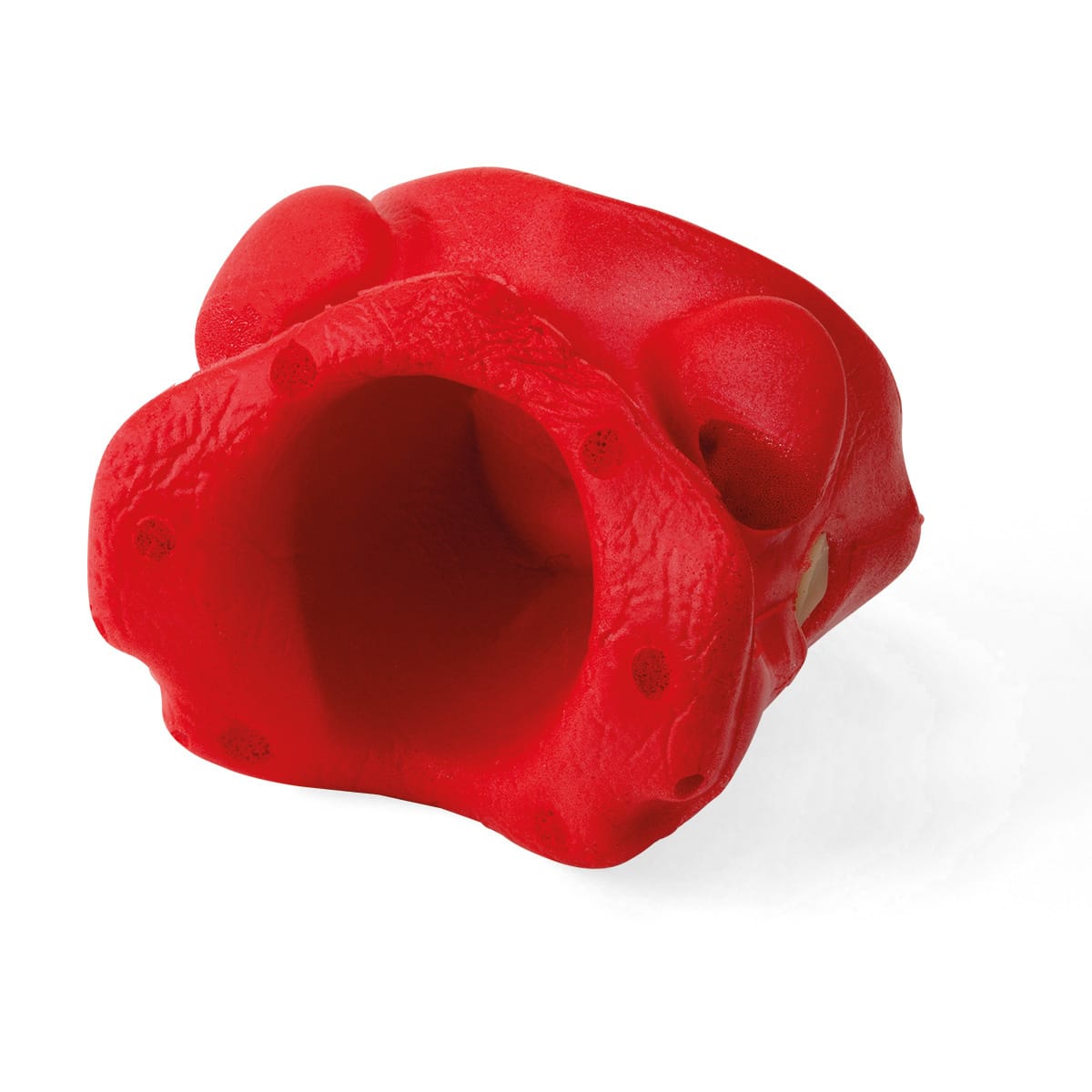 3B Scientific® Post Partum Hemorrhage Trainer