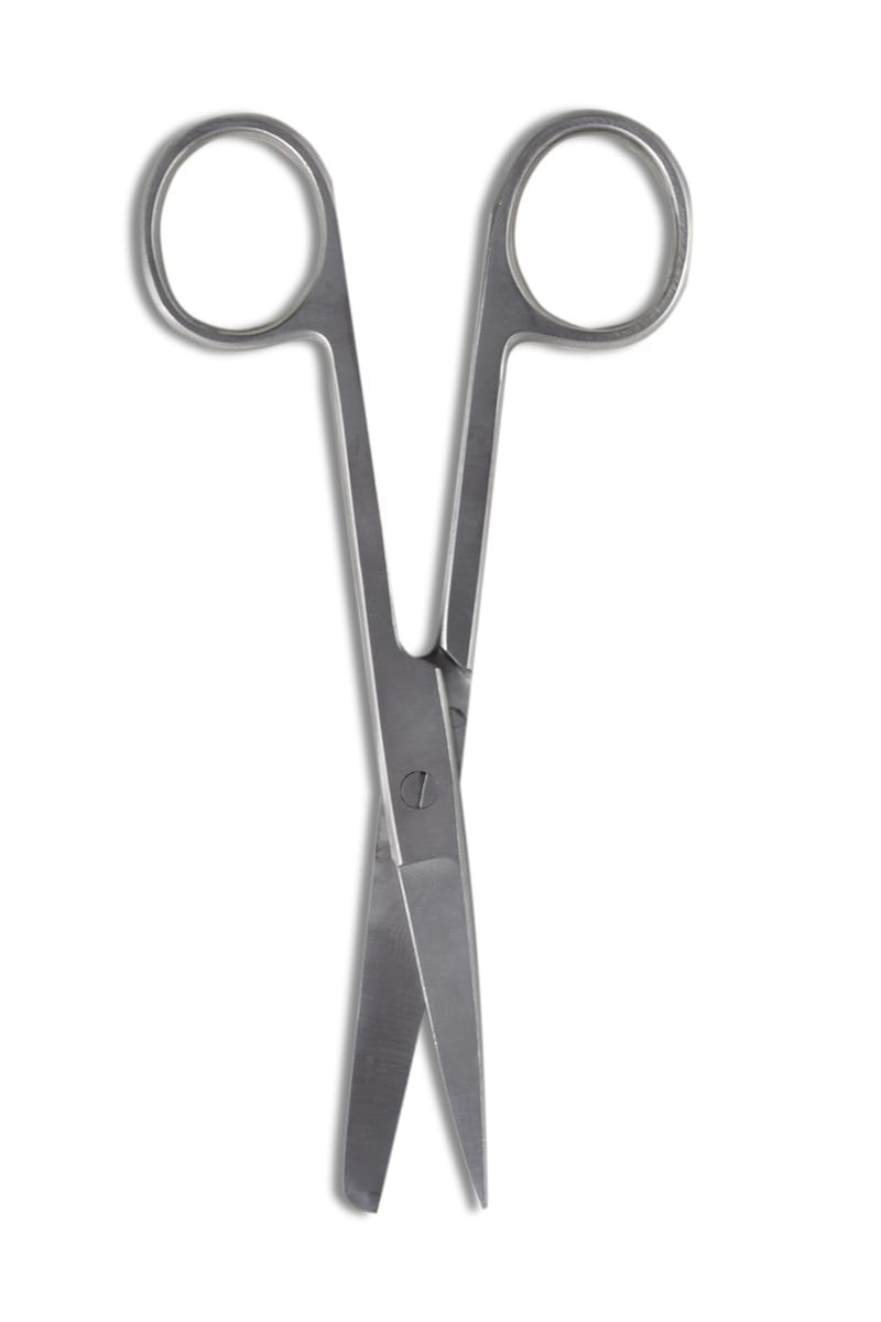 Surgical Style Scissors