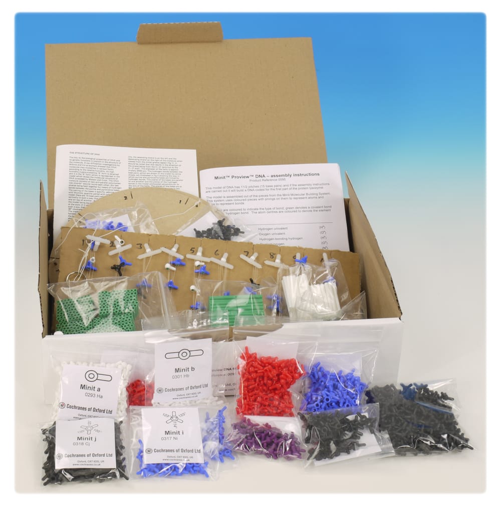 Minit® DNA Model
