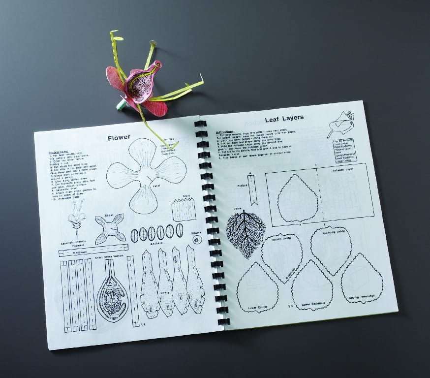 Geoblox Botany Models