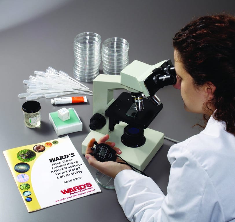 Ward's® How Does Temperature Affect Daphnia Heart Rate? Lab Activity