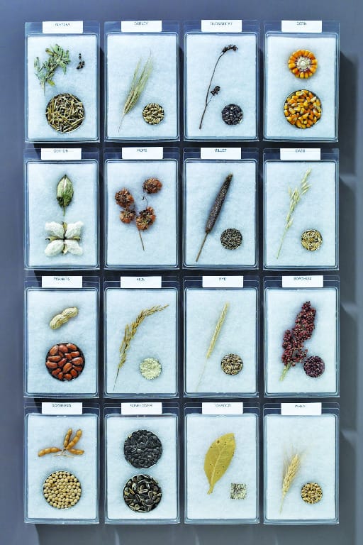 Commercial Crops Identification Mount Set