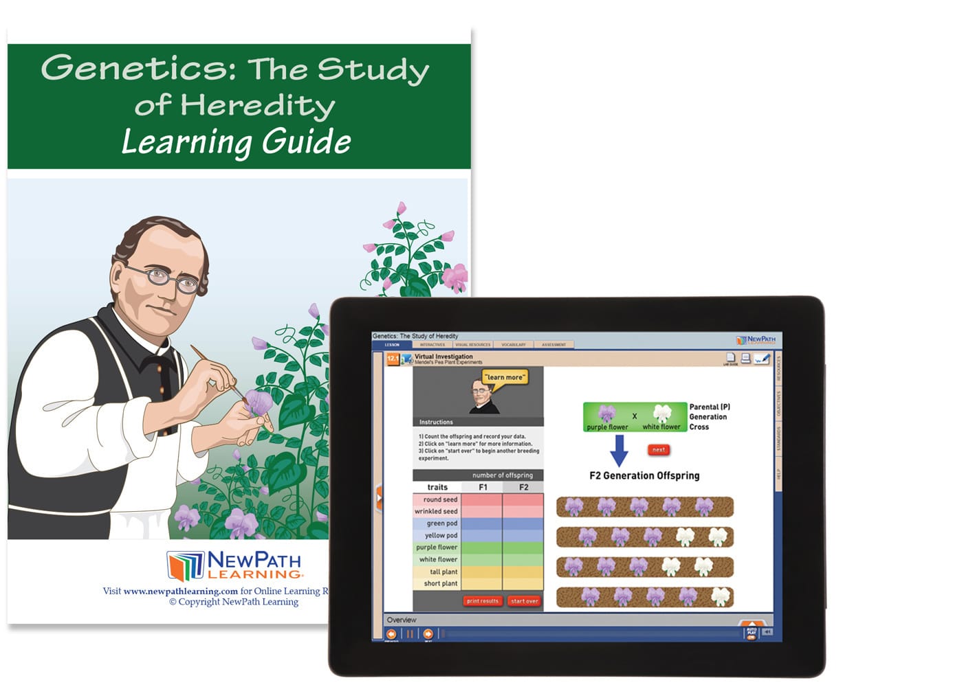 NewPath® Study Guides with Online Lesson