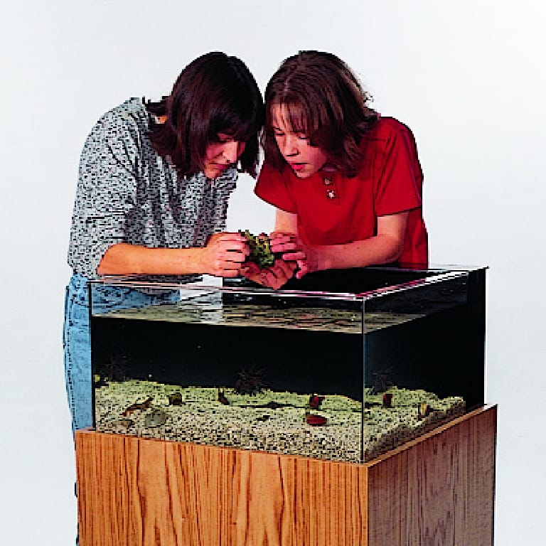 Ward's® Marine Touch Tank
