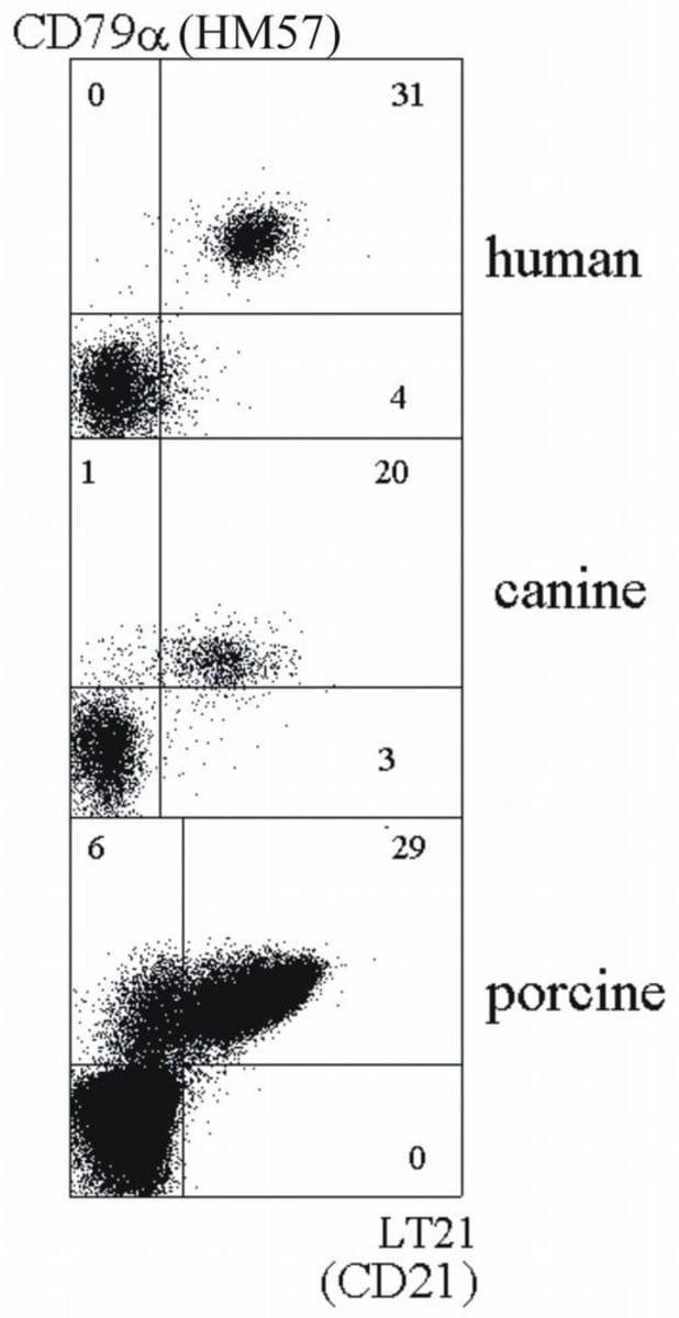 Anti-CD21 Mouse Monoclonal Antibody [clone: LT21] | VWR, part of Avantor