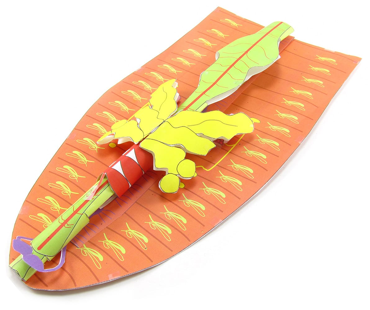 Dissection 3D Models