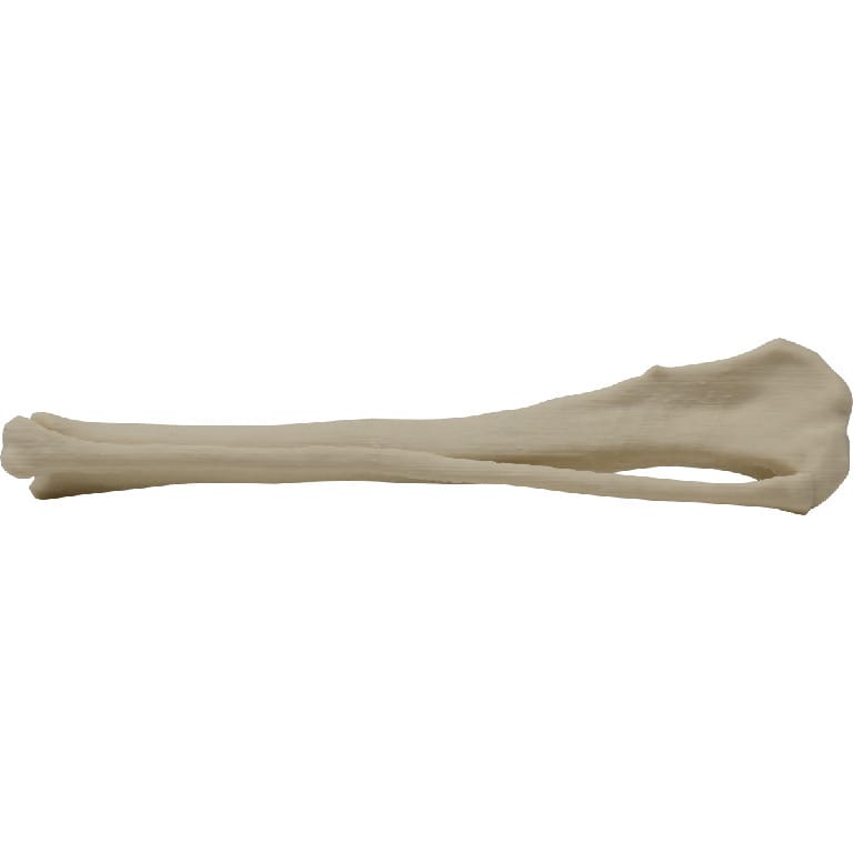 Med Dimensions® Vet Bones, Canine