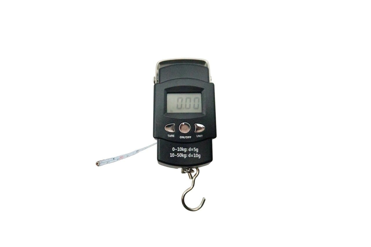 Digital Hanging Scale