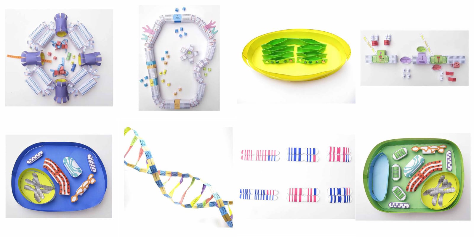 3D Modeling Sets
