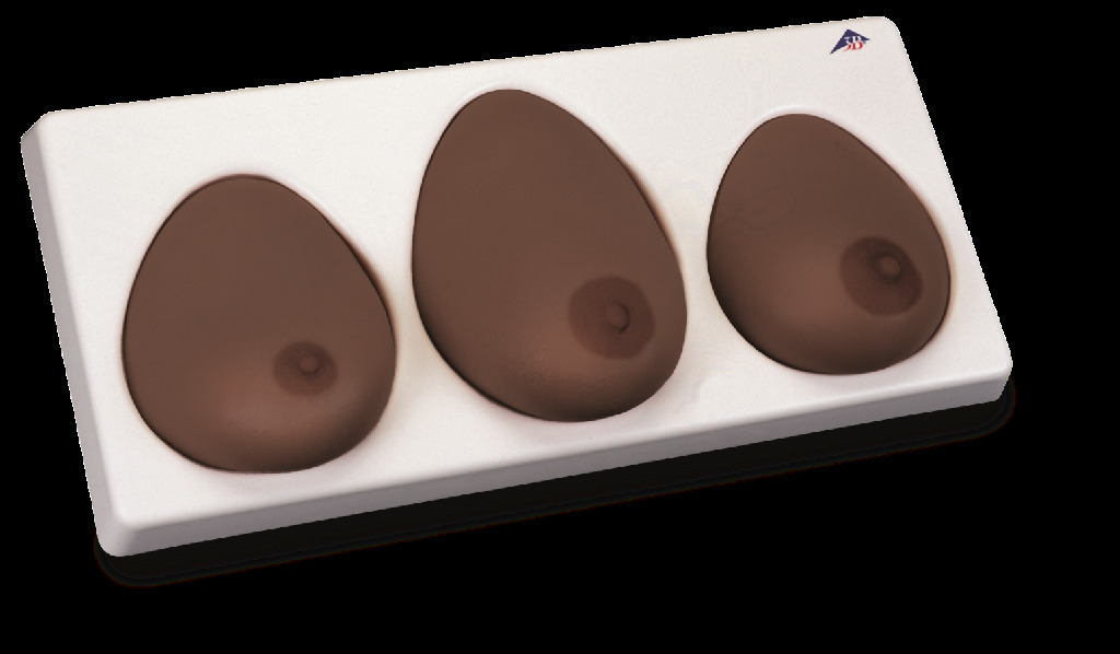 3B Scientific® Breast Exam Model