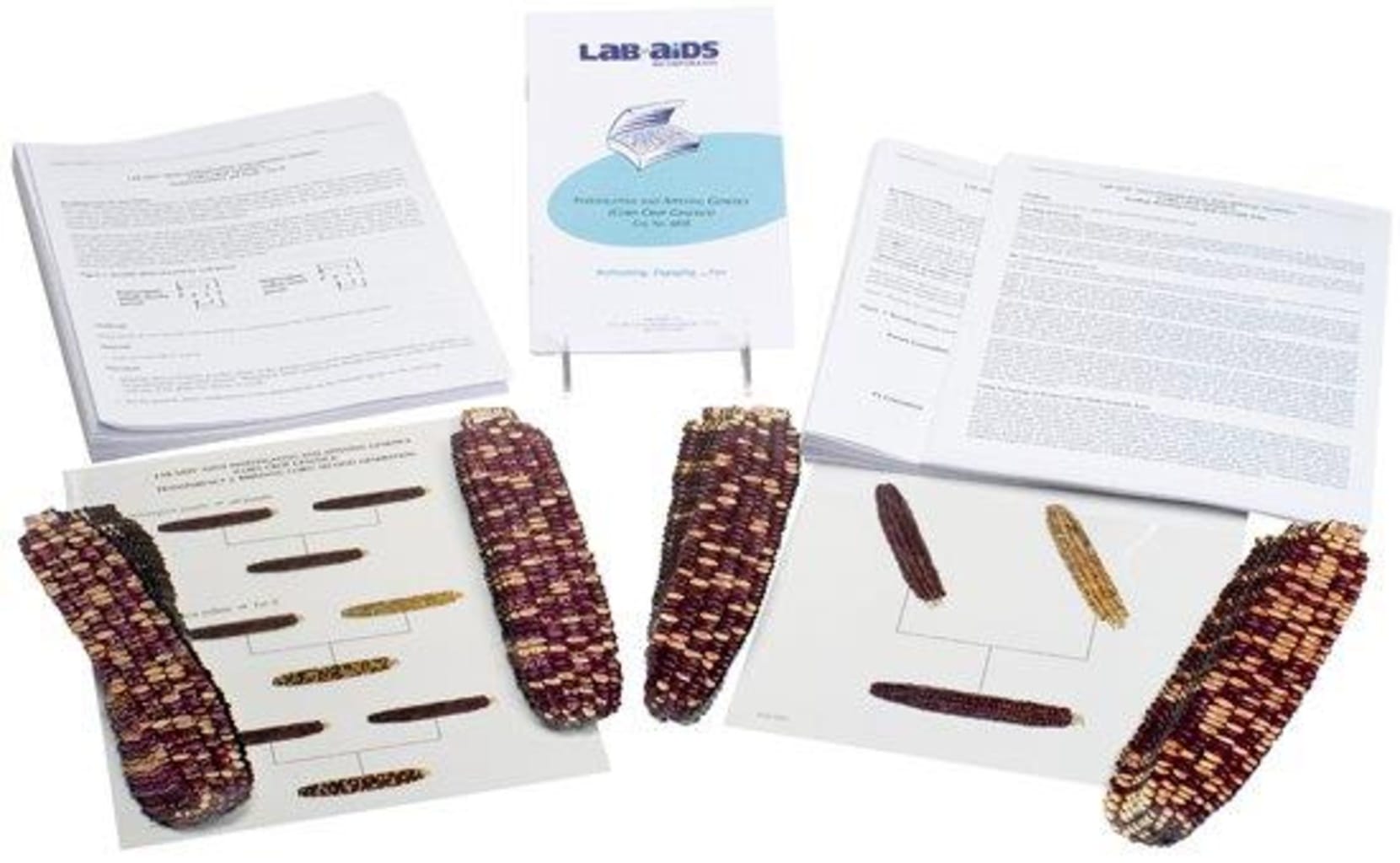 Lab-Aids® Corn Crop Genetics Kit