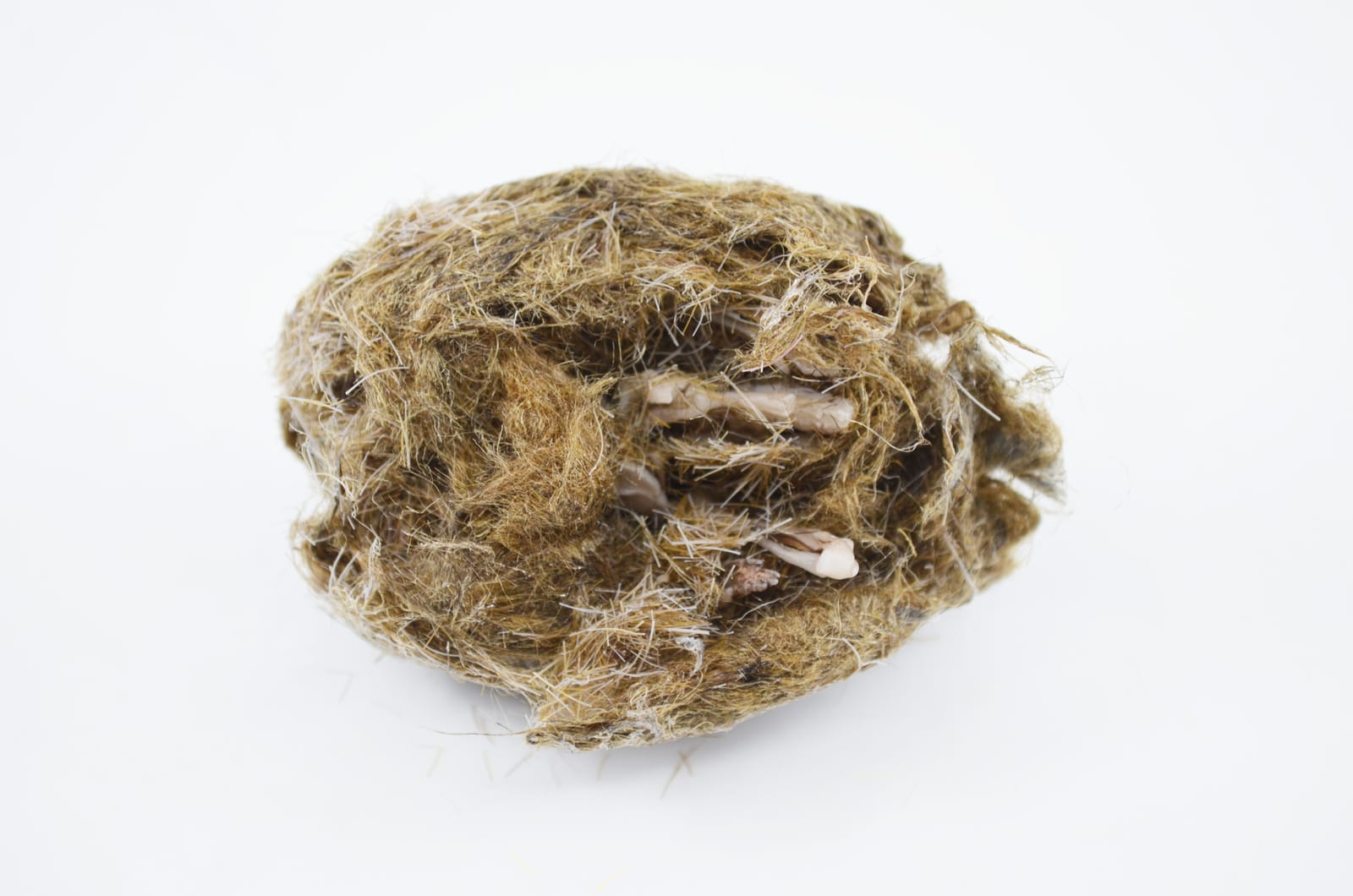 Synthetic Owl Pellets