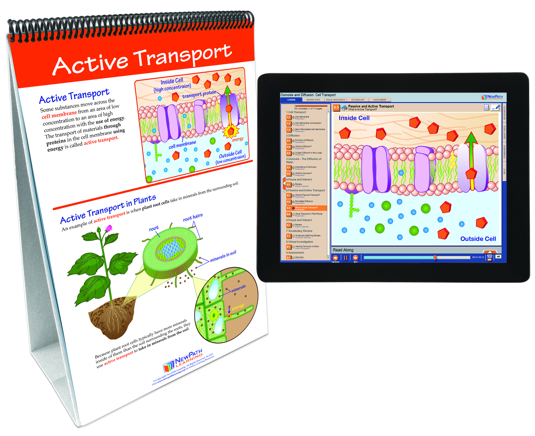 NewPath® Life Science Skill Builder Flip Charts with Multimedia Lessons