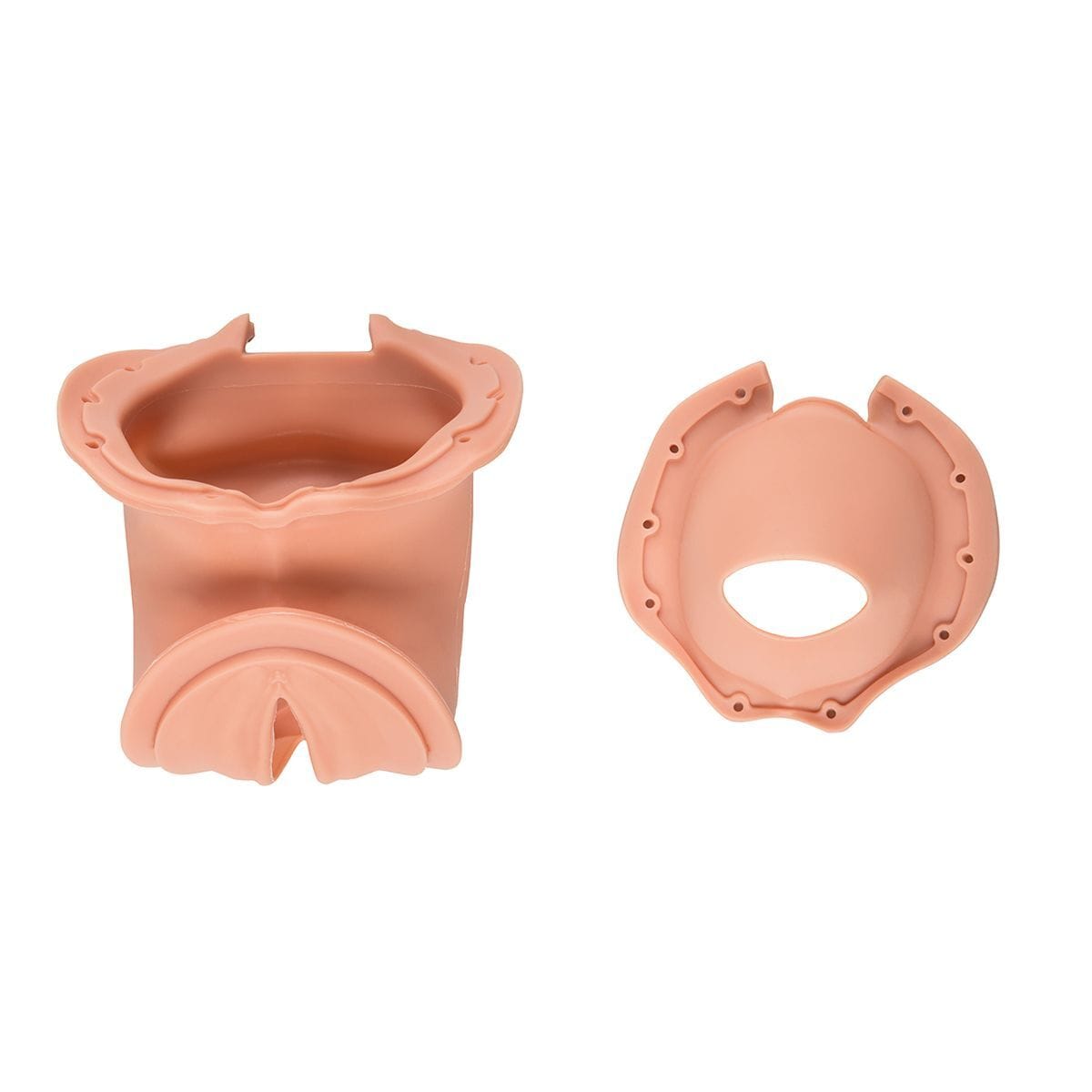 3B Scientific® Birthing Simulators
