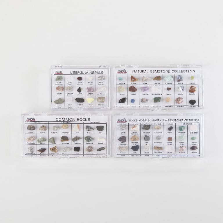 Ward's® Specimen Display Sets
