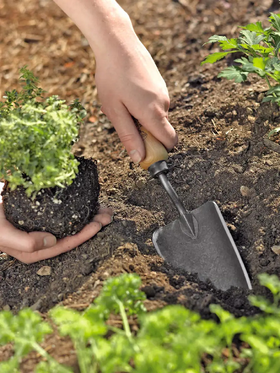 Lifetime Trowel