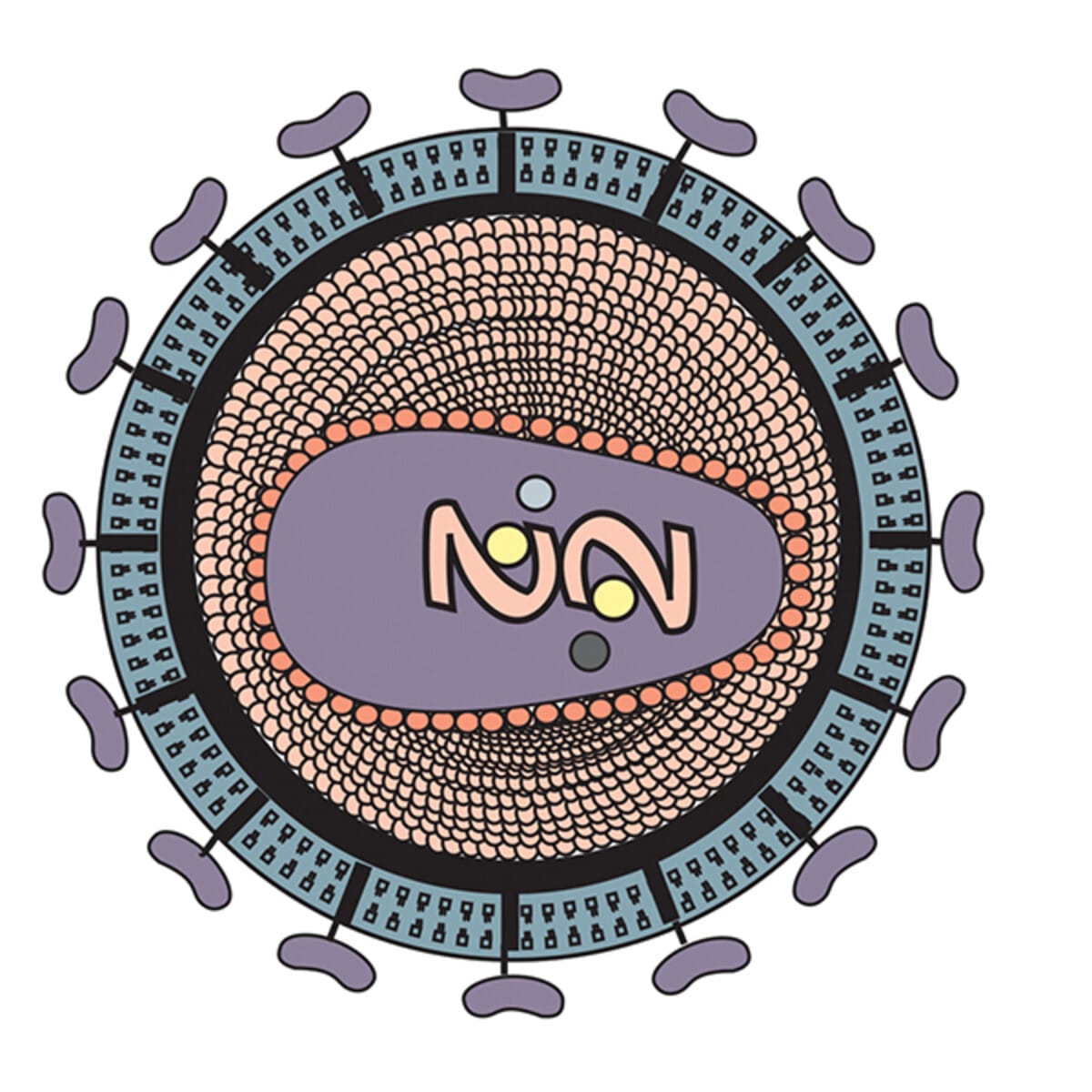 AIDS Kit I: Simulation of HIV Detection by ELISA