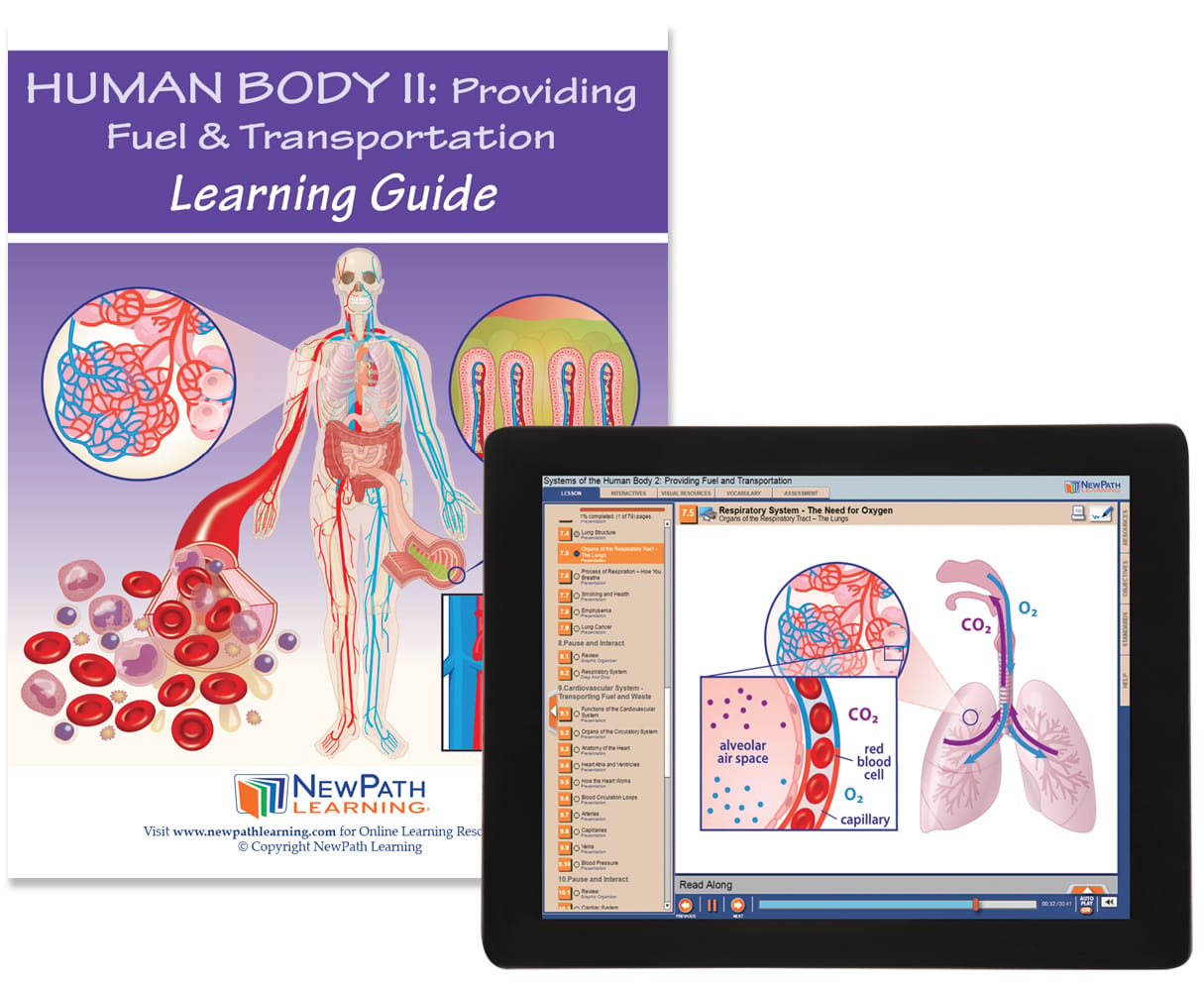 NewPath® Study Guides with Online Lesson